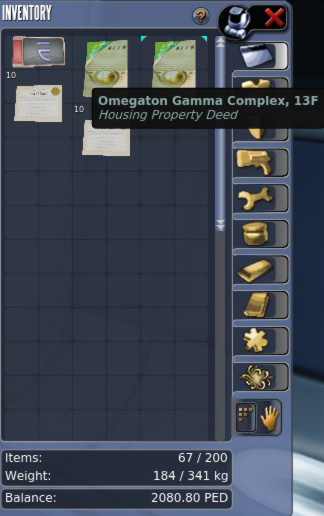 Calypso auction window